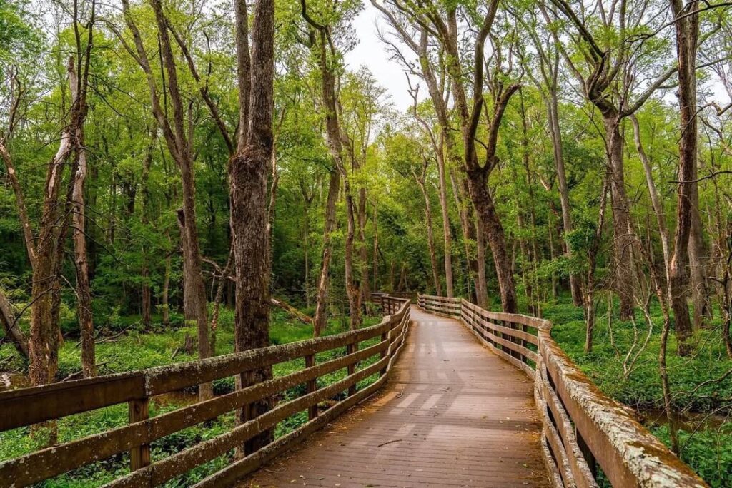 Trap Pond State Park