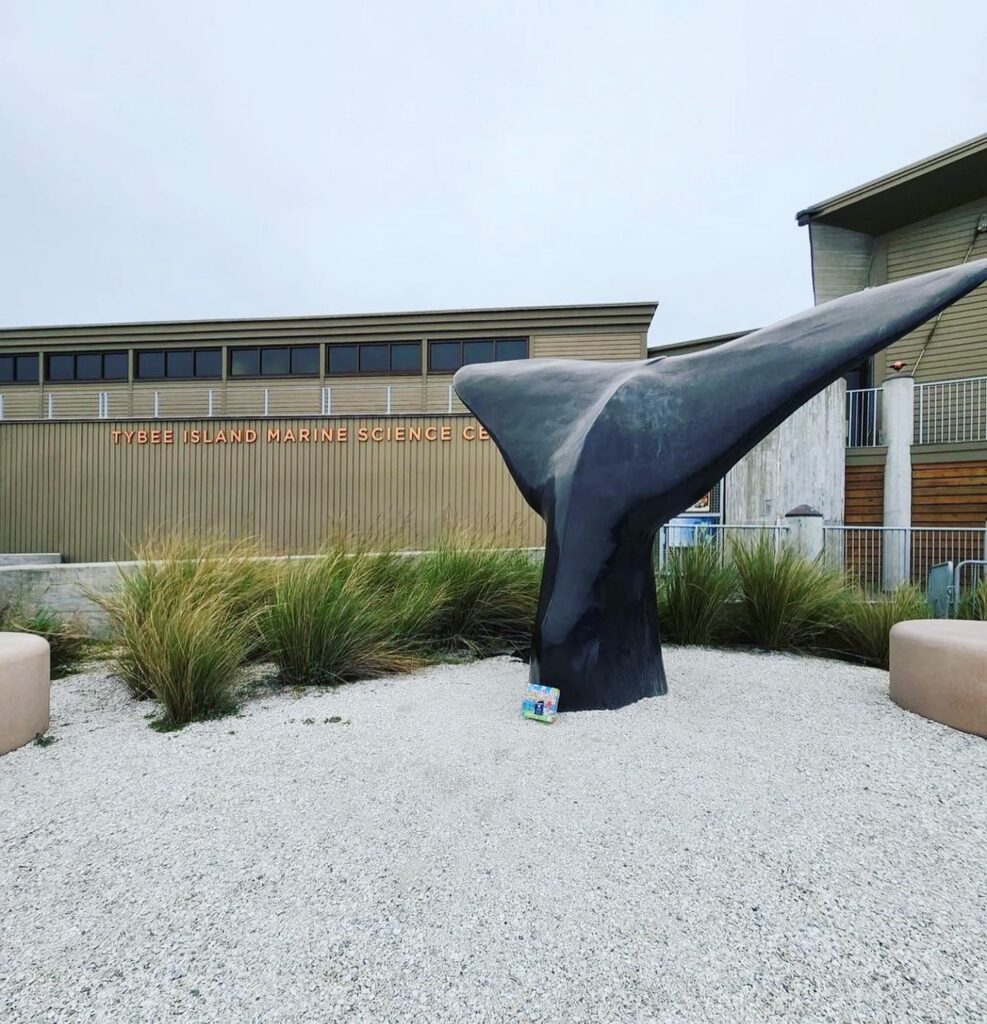 Visit the Tybee Island Marine Science Center