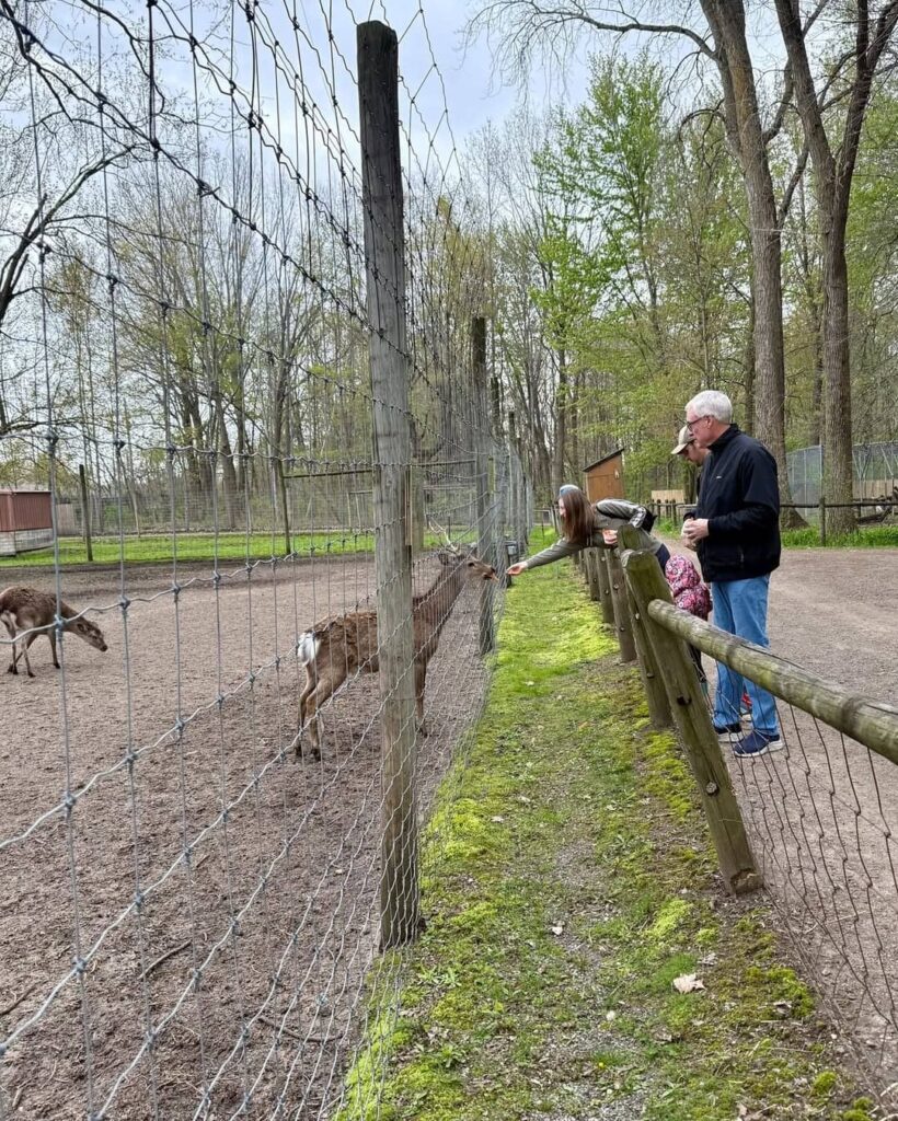 Wilderness Trails Zoo