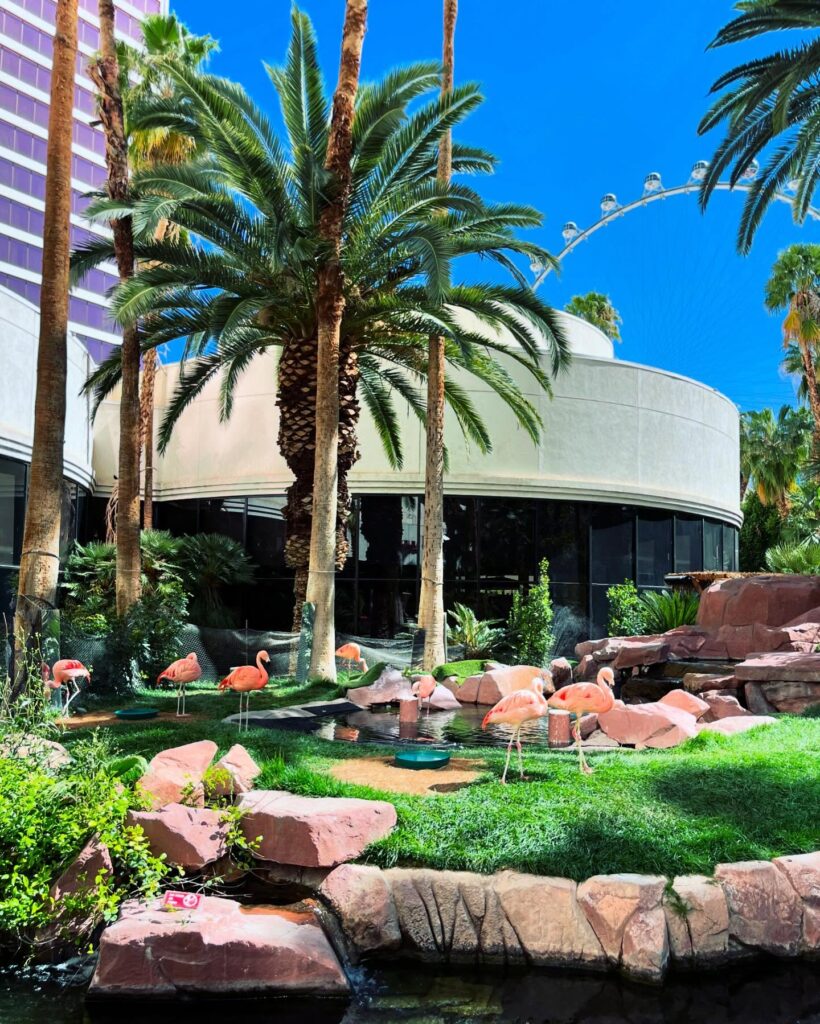 Wildlife Habitat at the Flamingo: See Birds, Fish, and Gardens for Free