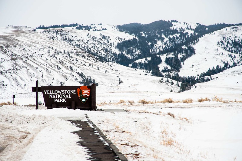 Winter in Yellowstone