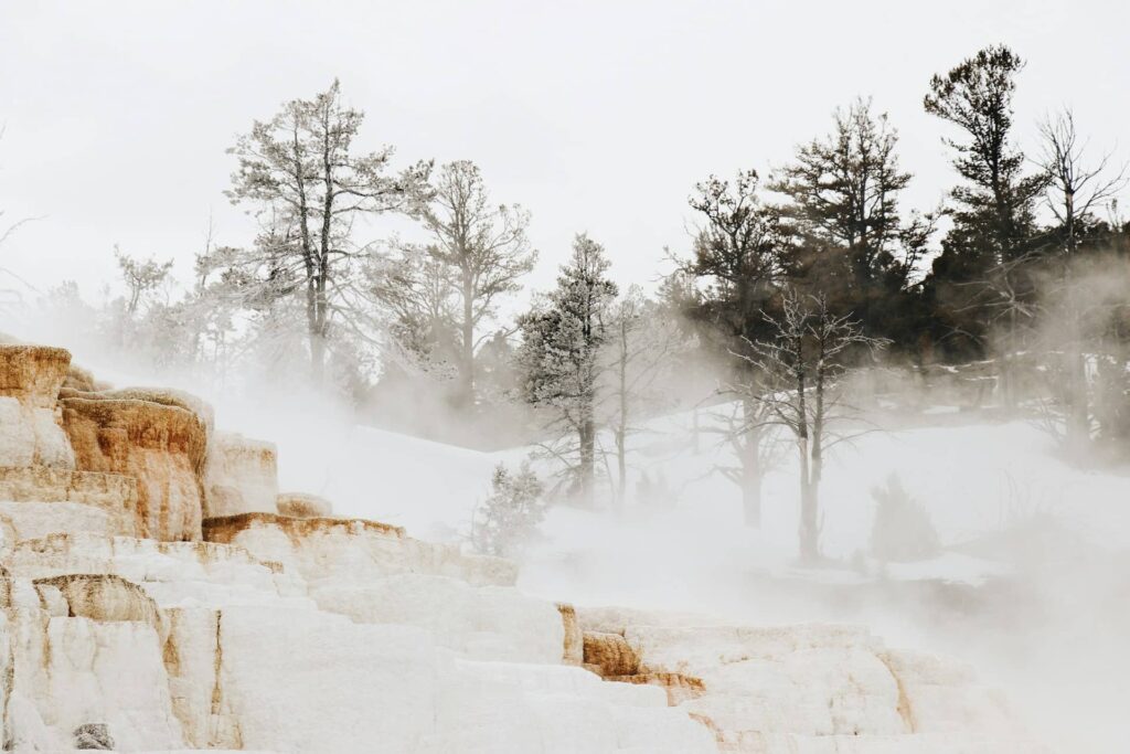 Worst Times to Visit Yellowstone