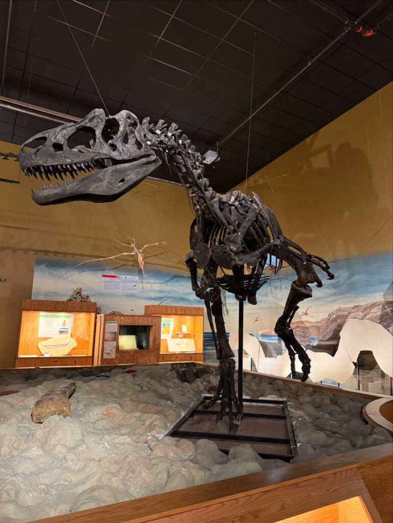 Wyoming Dinosaur Center, Thermopolis