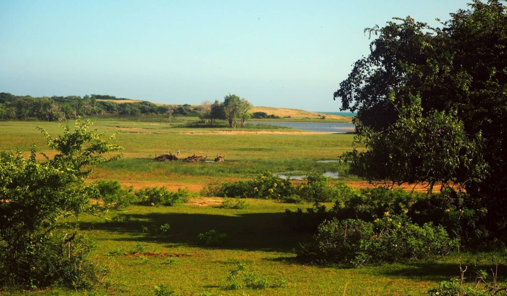 Yala National Park, Sri Lanka