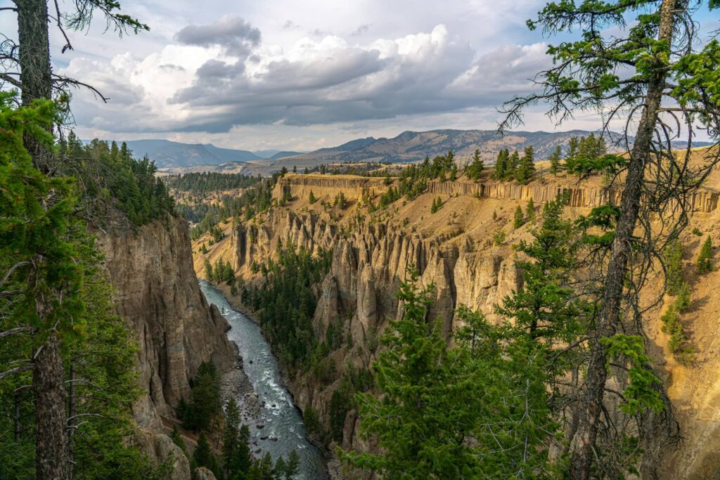 Yellowstone National Park, USA