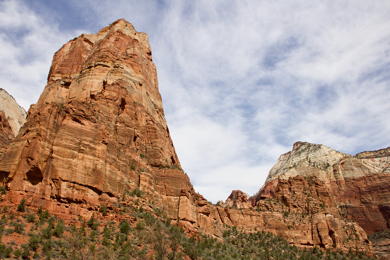 Zion National Park: Towering Cliffs, Canyon Hikes, and Big Utah Views