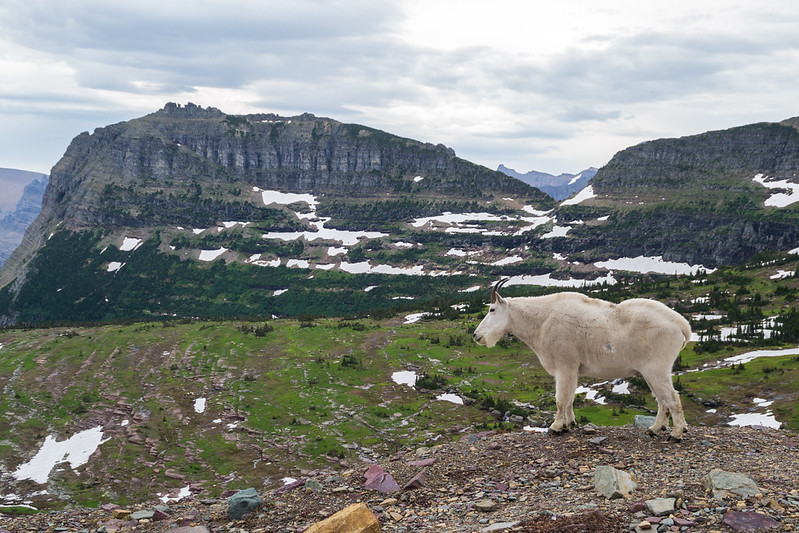 Sheep Mountain Road