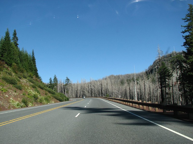 Santiam Pass