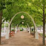 3 Days in Dallas Itinerary for the Perfect Texas Weekend