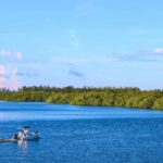 3 Days in Naples, Florida The Perfect Gulf Coast Weekend Itinerary