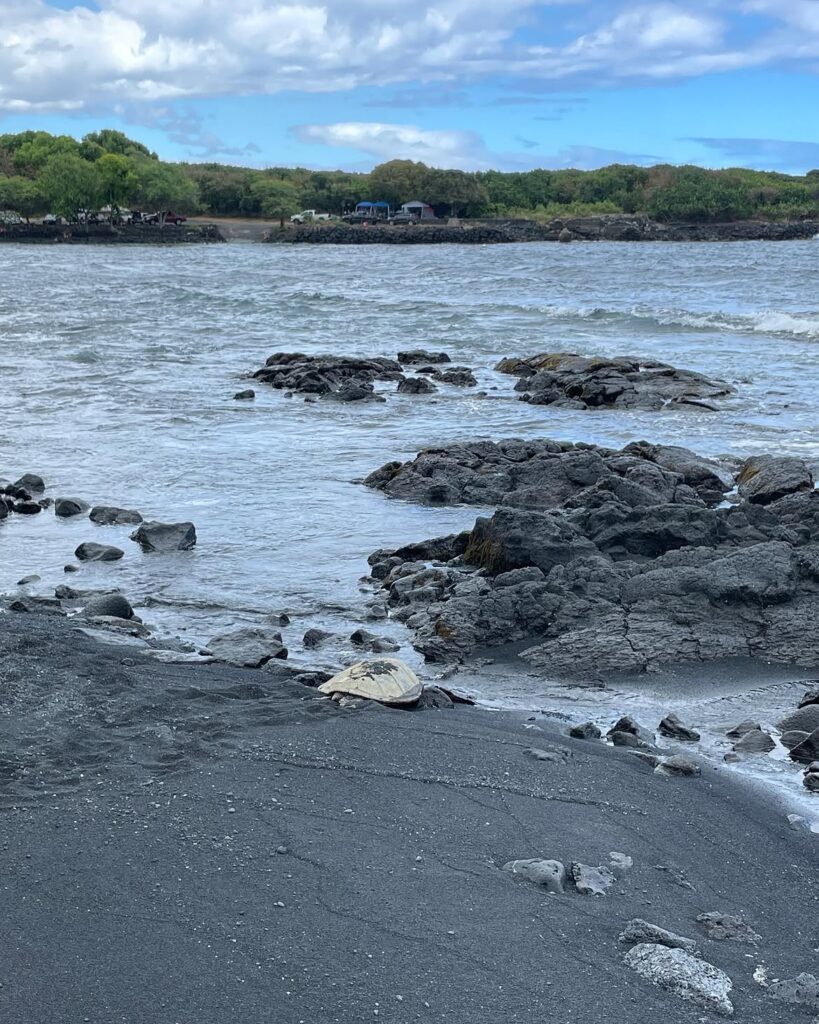 Punaluʻu Black Sand Beach