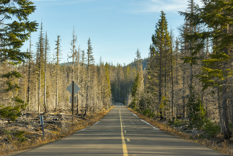 McKenzie Pass Highway