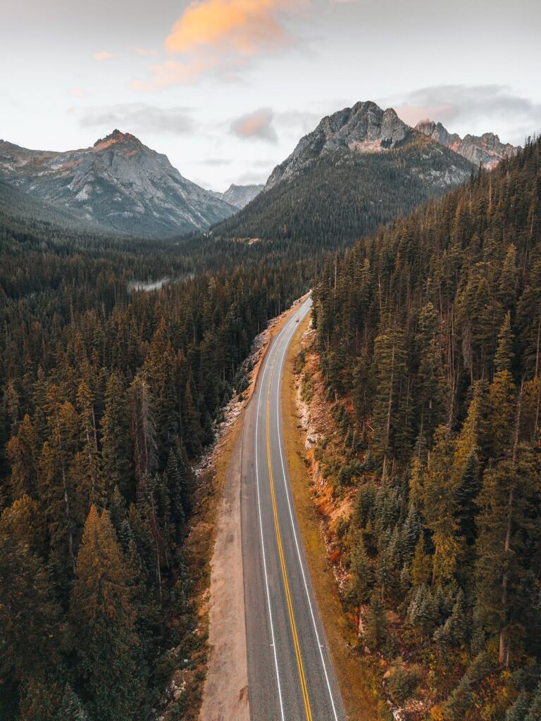 Forest Road 39