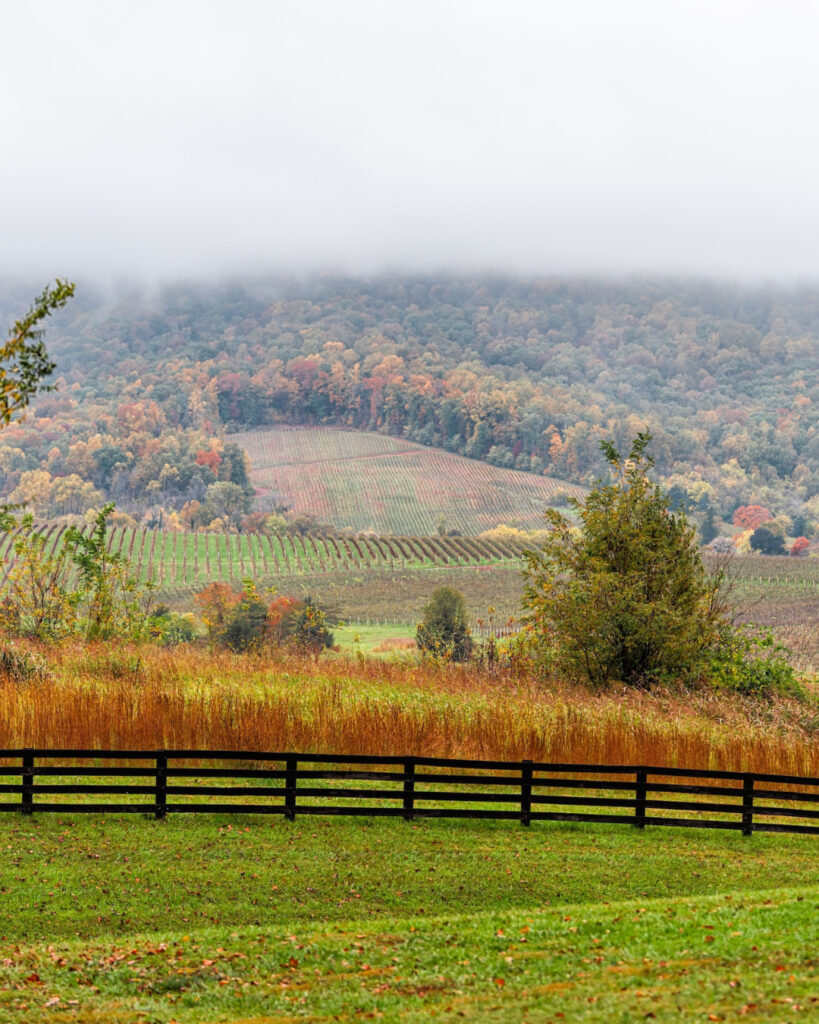 The scenery from Georgia to New York