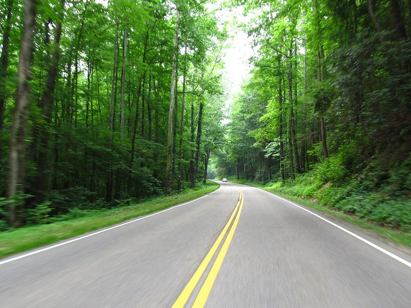 Newfound Gap Road