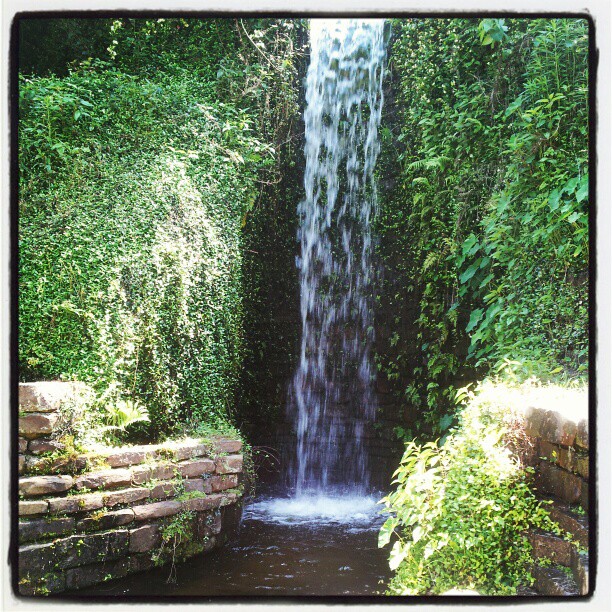 Hodges Gardens State Park