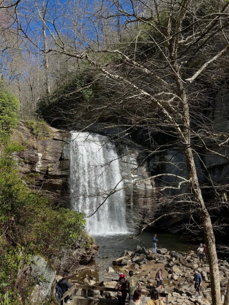 Moore Cove Falls
