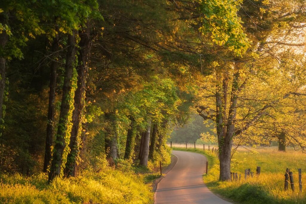 Cades Cove Loop Road