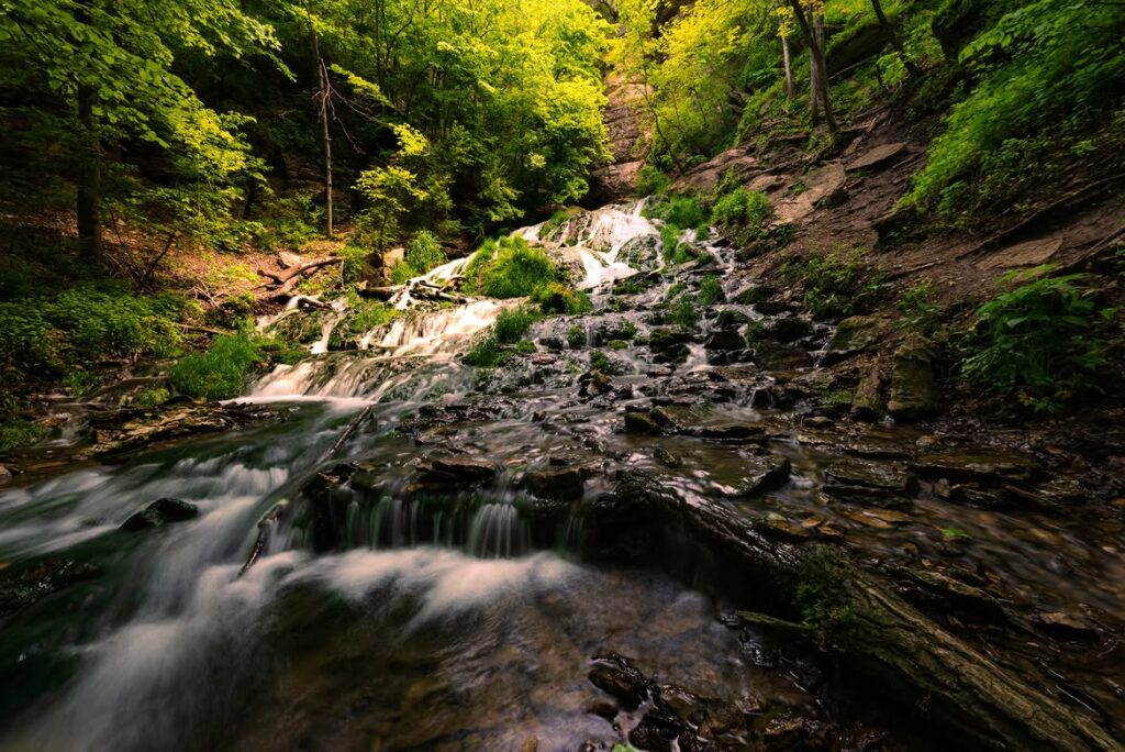 Dunning’s Spring Falls