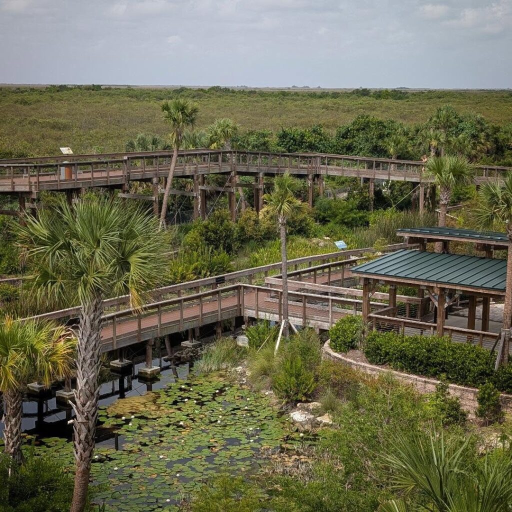 7am – Eat Breakfast and Leave for the Everglades