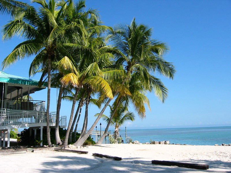 A Quick Look at Islamorada, Florida: Easy Trip Notes Before You Go