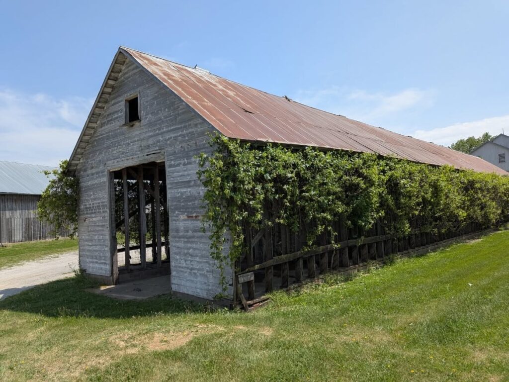 Amana Colonies