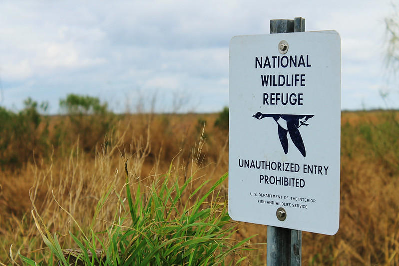 Aransas National Wildlife Refuge: Watch Whooping Cranes and Coastal Wildlife