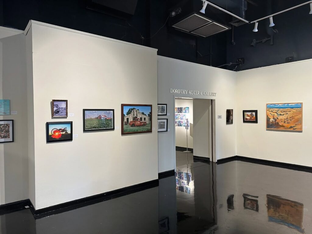 Art Center of Corpus Christi Local Exhibitions and Creative Workshops