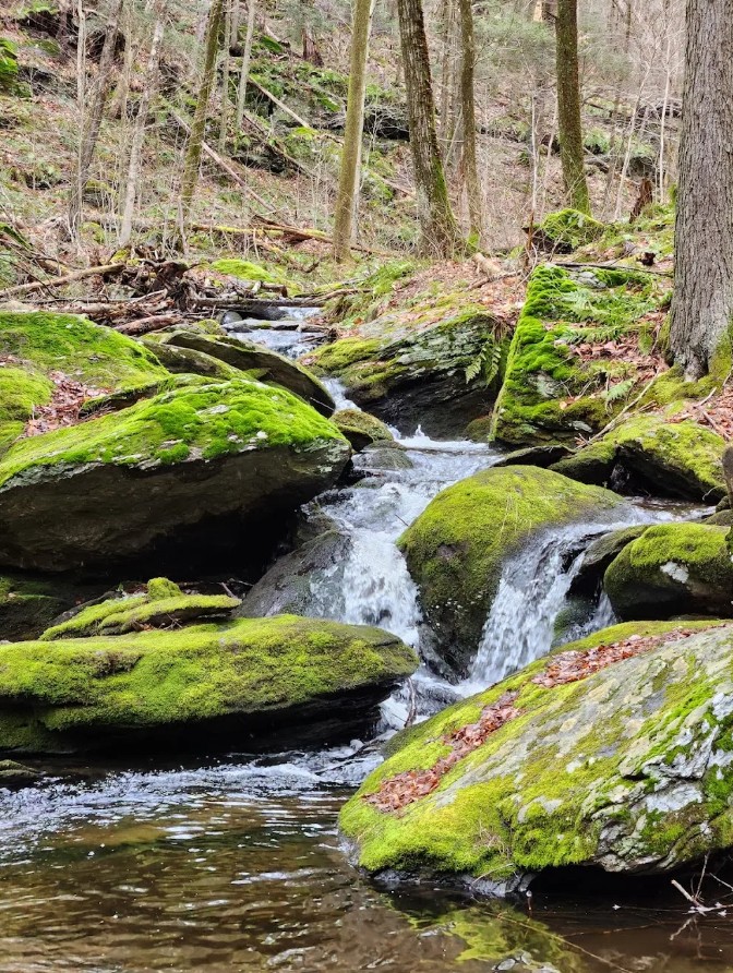 Ayers Gap