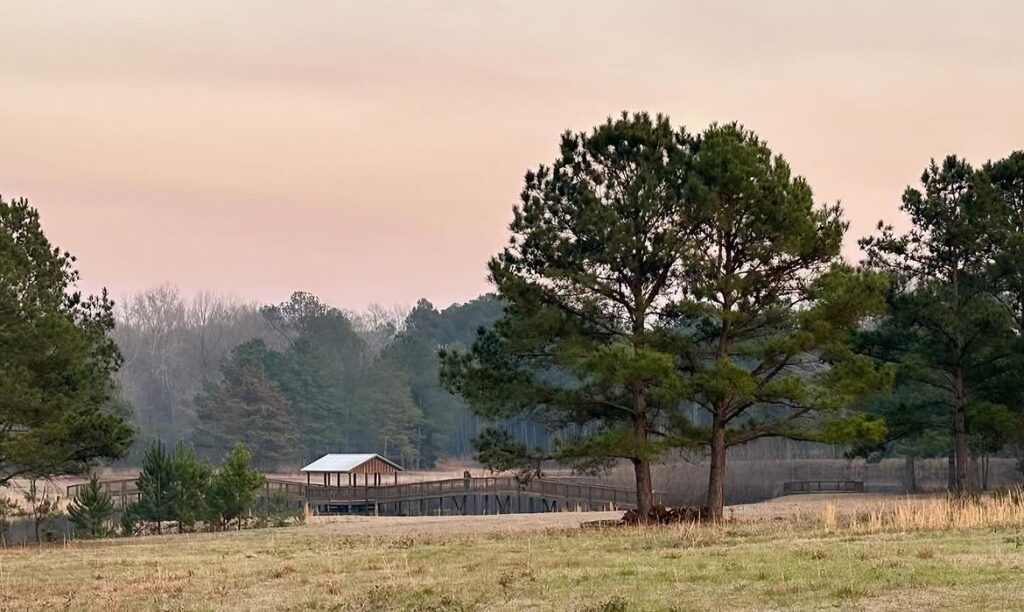 Bama Bison RV Park & Farm