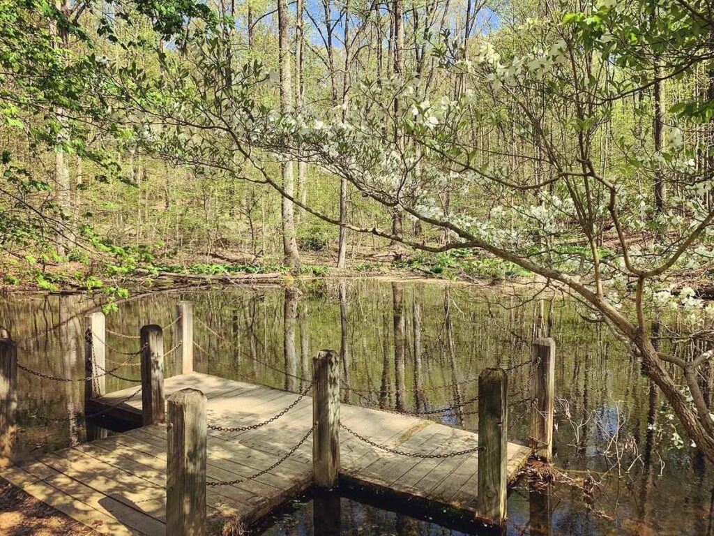 Bear Branch Nature Center