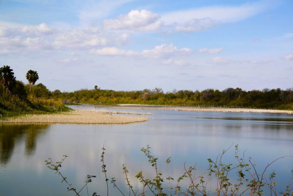 Bentsen-Rio Grande Valley State Park