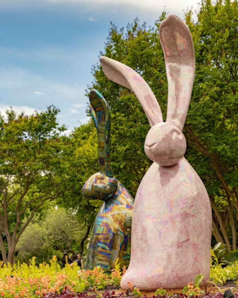 Best Time to Visit Dallas