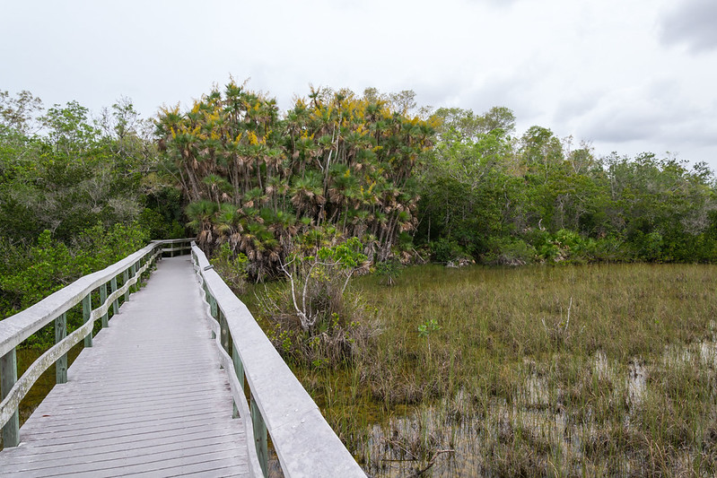 Best Time to Visit Florida’s National Parks