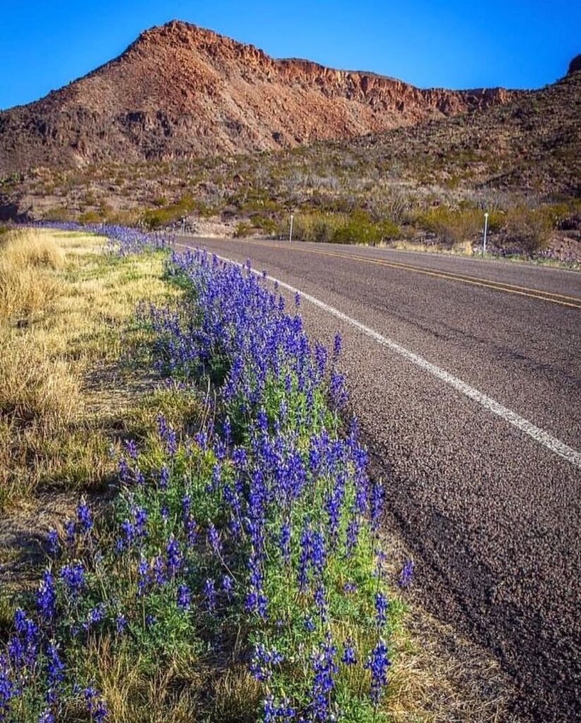 Big Bend Ranch State Park