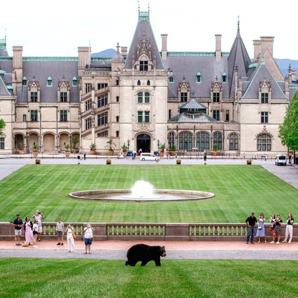 Biltmore Estate
