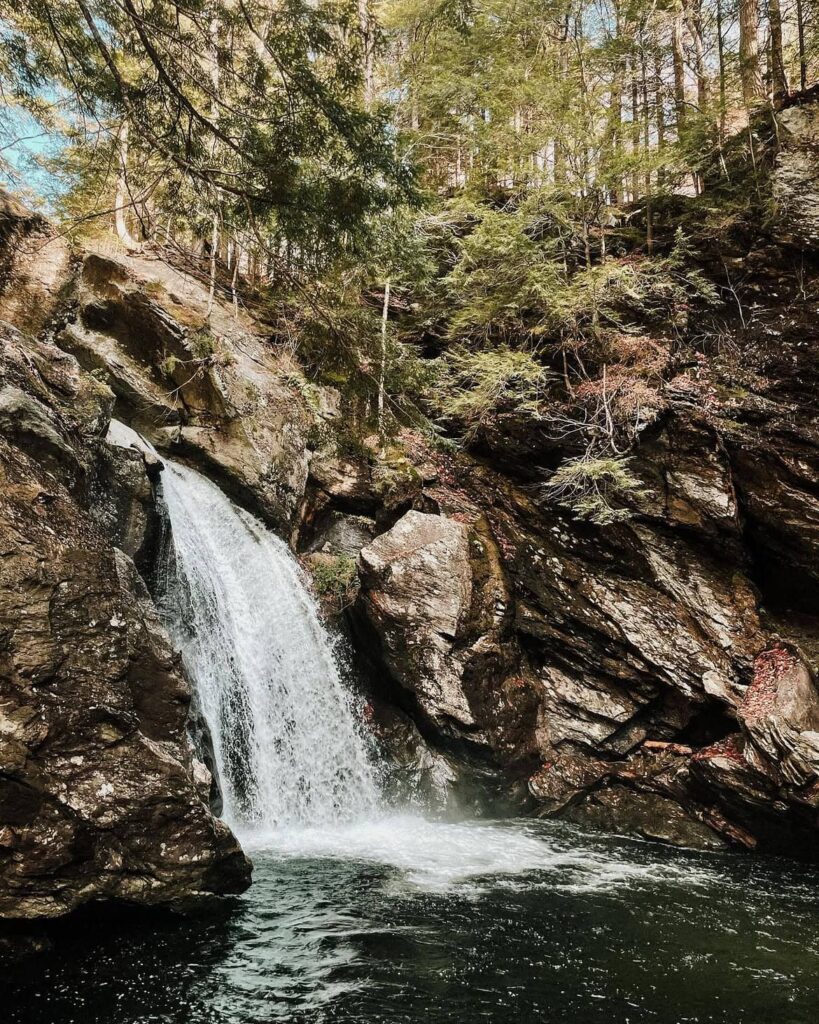 Bingham Falls