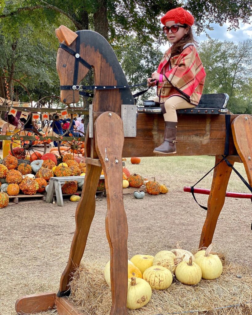 Blessington Farms: Enjoy Farm Activities Near Katy