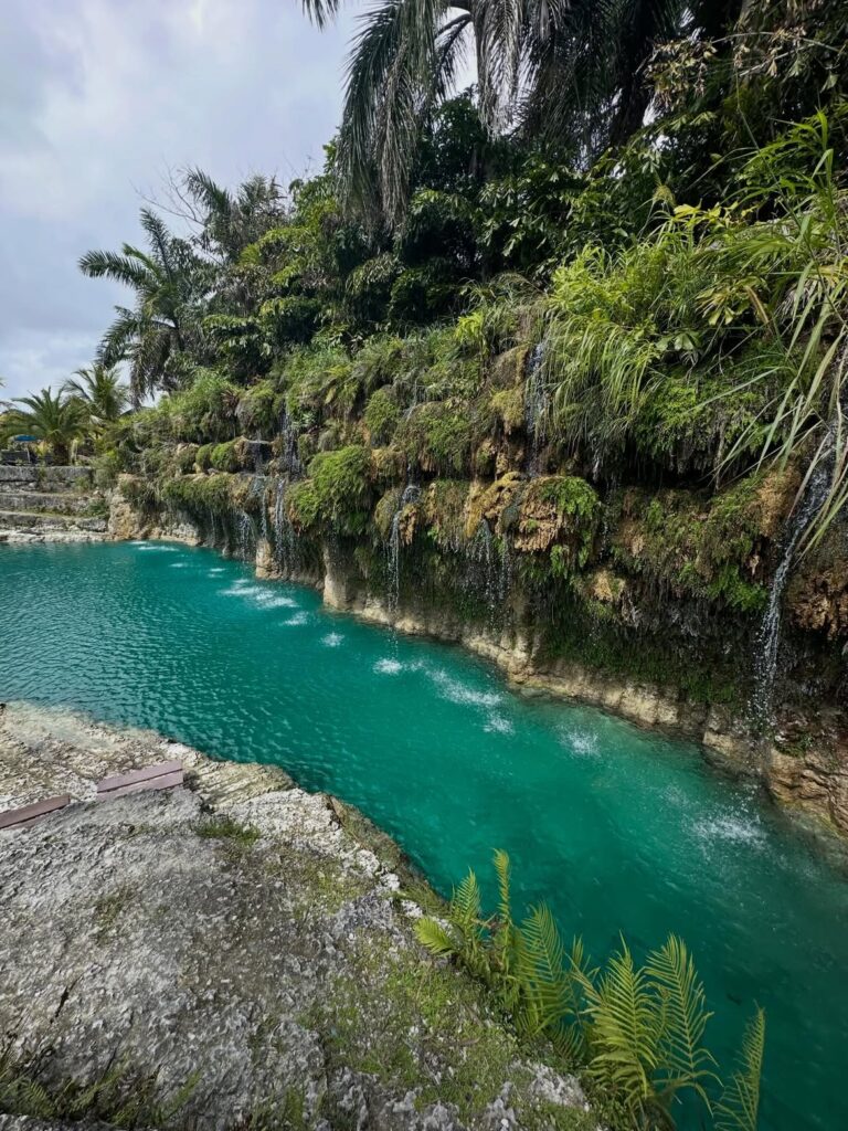 Blue Lagoon Farm Miami, Homestead