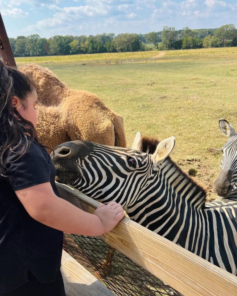 Blue Springs Safari