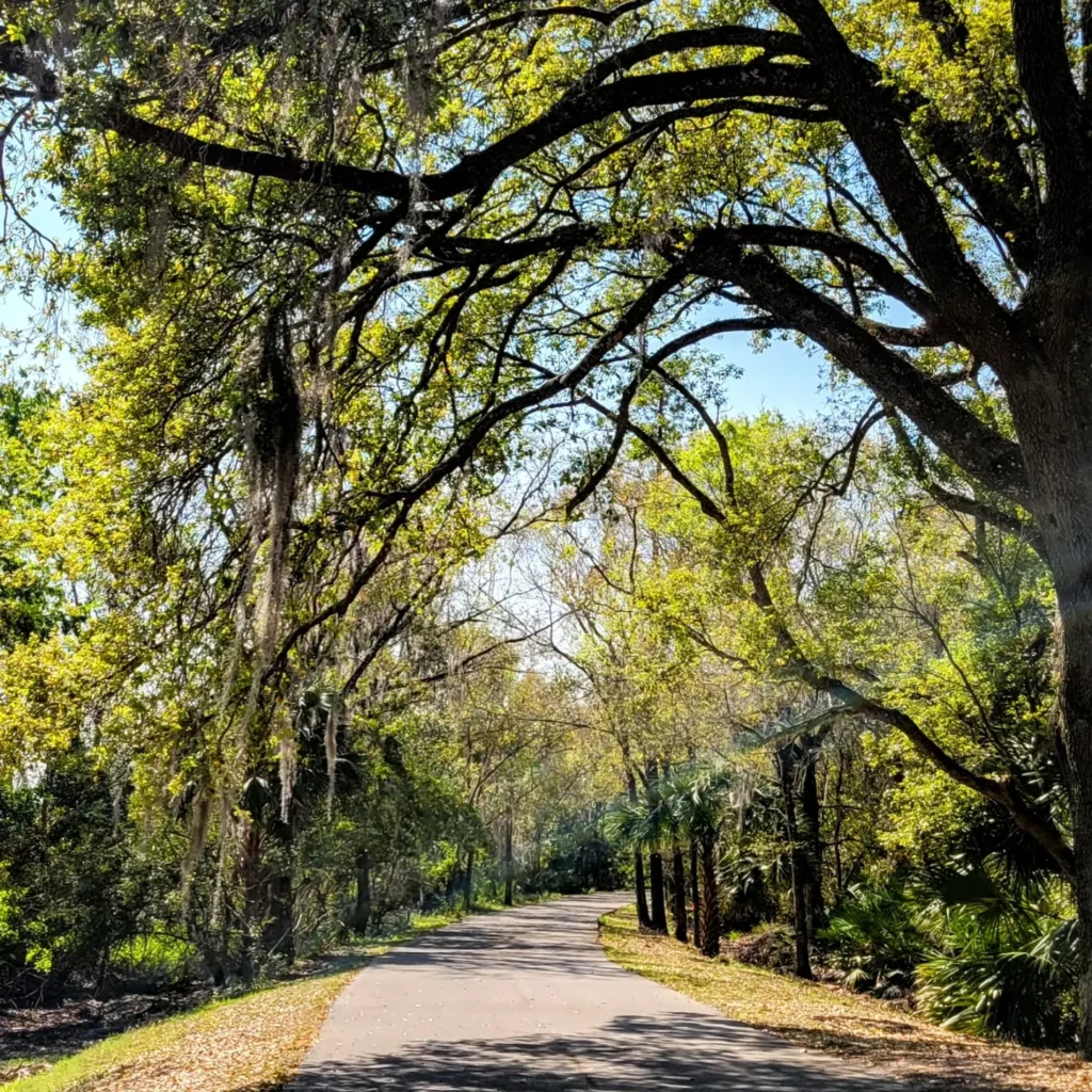 Cady Way Trail Park: A Beginner-Friendly Orlando Trail With Shade, Rest Stops, and Picnic Space