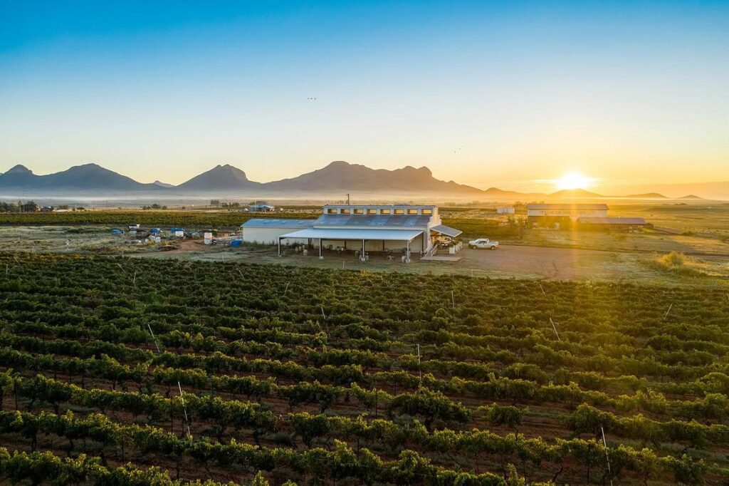 Callaghan Vineyards, Elgin