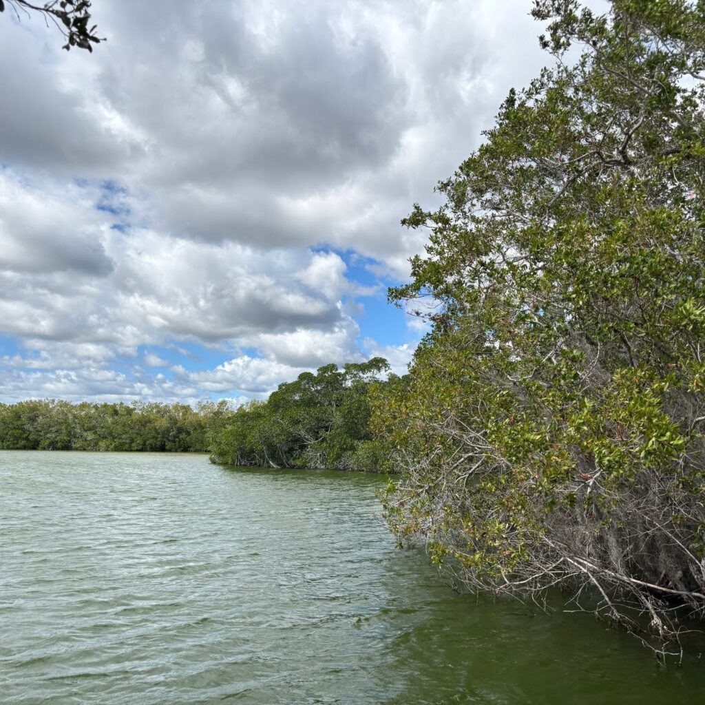Camping Near the Everglades, Big Cypress, and Midway Campground
