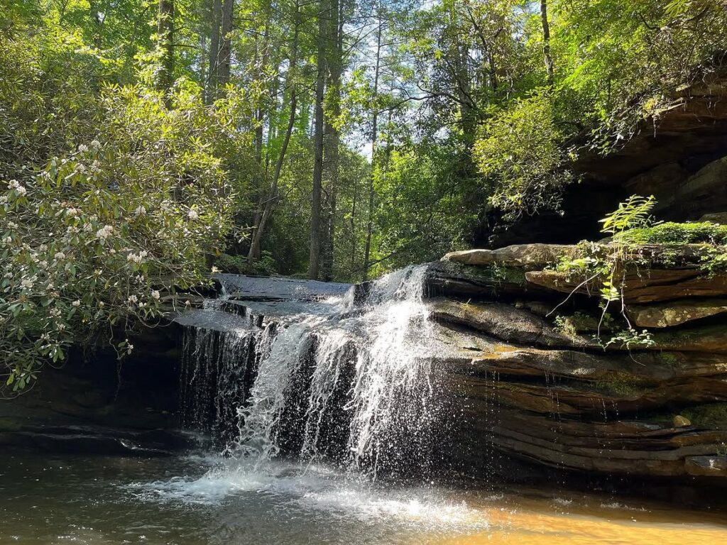 Carrick Creek Falls