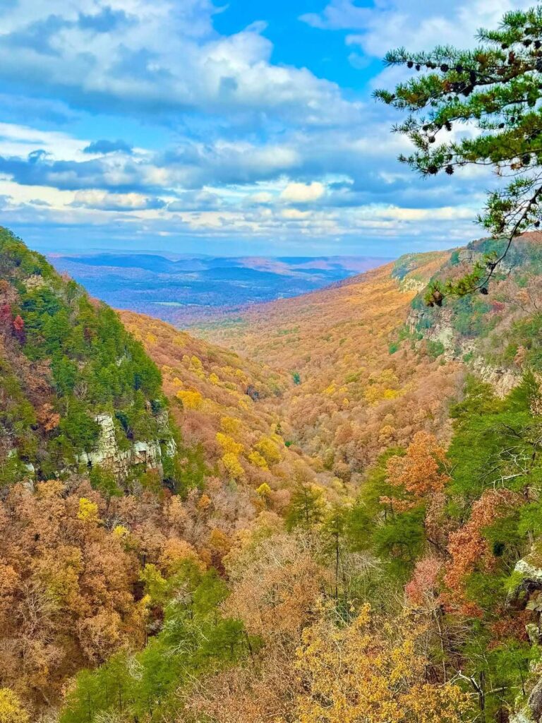 Cloudland Canyon State Park