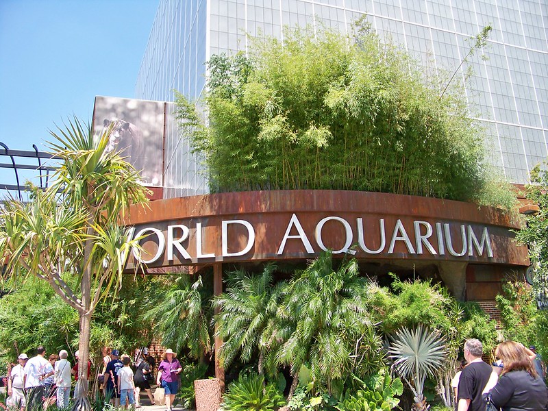 Dallas World Aquarium: Wildlife From Rainforests to Coral Reefs