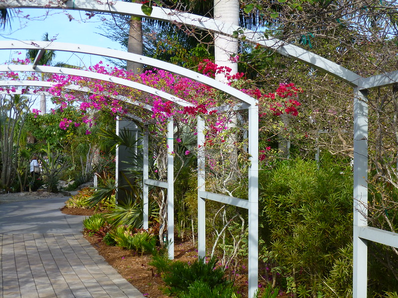 Day 1: Naples Botanical Garden, Tin City, and a Sunset Cruise