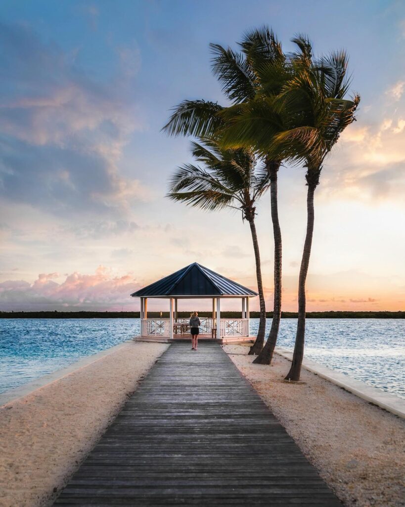 Day 2 – Escape to the Everglades, Biscayne Bay, or Key Largo