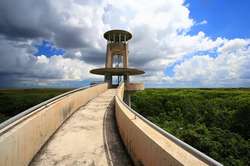 Day One Shark Valley In Everglades National Park