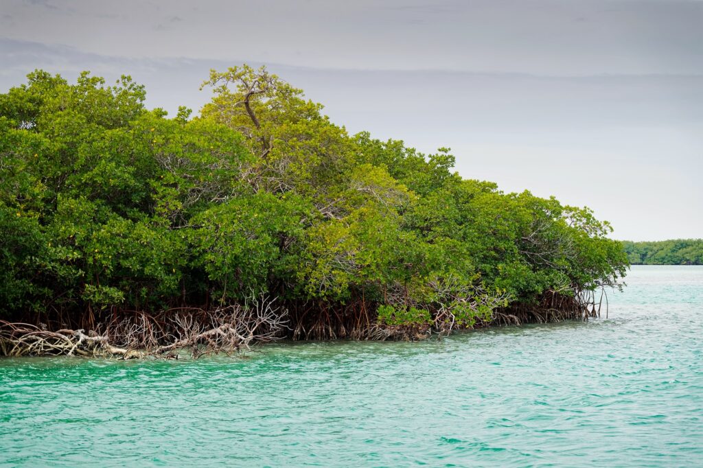 Day Three: One Day In Biscayne National Park
